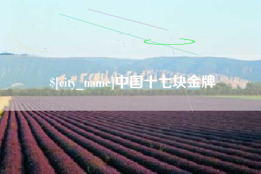 内江中国十七块金牌