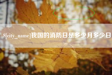 内江我国的消防日是多少月多少日