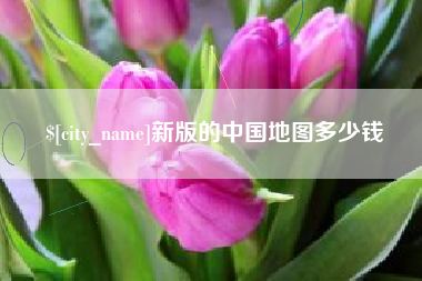 内江新版的中国地图多少钱