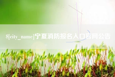 内江宁夏消防报名入口官网公告