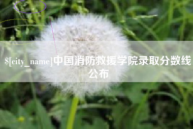 内江中国消防救援学院录取分数线公布