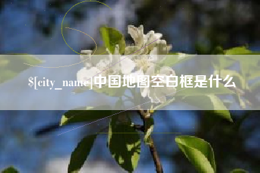内江中国地图空白框是什么