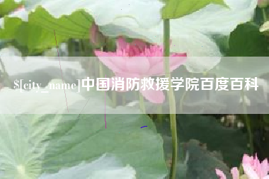内江中国消防救援学院百度百科