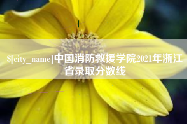 内江中国消防救援学院2021年浙江省录取分数线