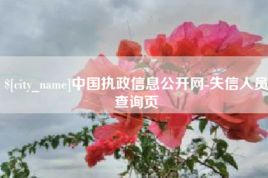 内江中国执政信息公开网-失信人员查询页