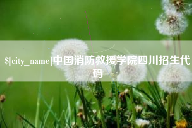 内江中国消防救援学院四川招生代码
