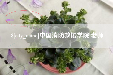 内江中国消防救援学院 老师