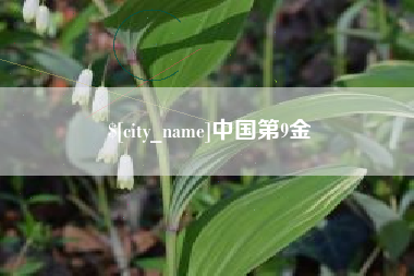 内江中国第9金