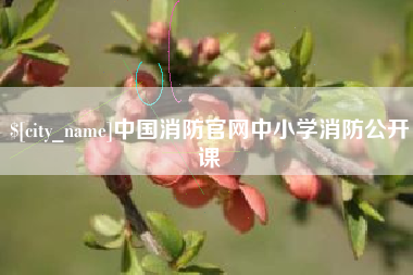 内江中国消防官网中小学消防公开课