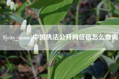 内江中国执法公开网征信怎么查询