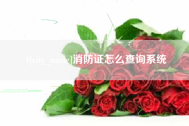 内江消防证怎么查询系统