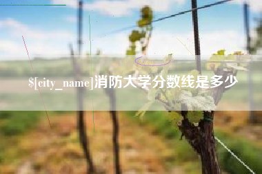 内江消防大学分数线是多少