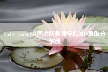 内江中国消防救援学院2019录取分数线