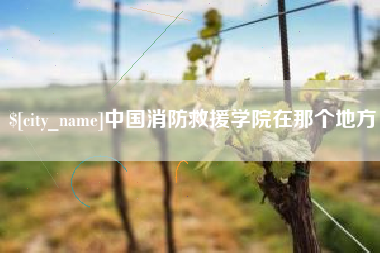 内江中国消防救援学院在那个地方