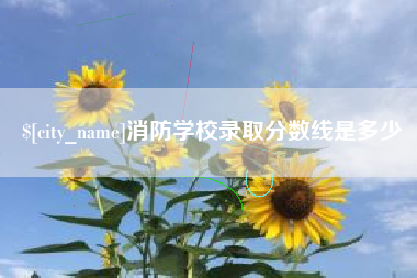 内江消防学校录取分数线是多少
