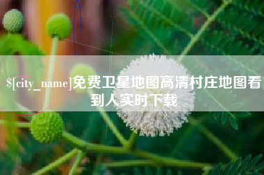 内江免费卫星地图高清村庄地图看到人实时下载