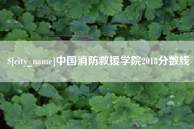 内江中国消防救援学院2018分数线
