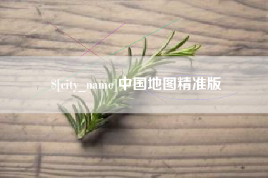 内江中国地图精准版