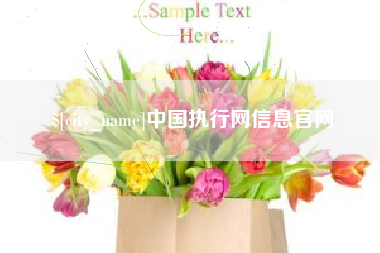 内江中国执行网信息官网
