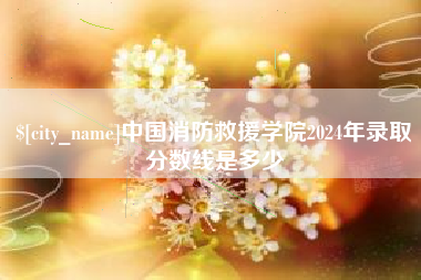 内江中国消防救援学院2024年录取分数线是多少