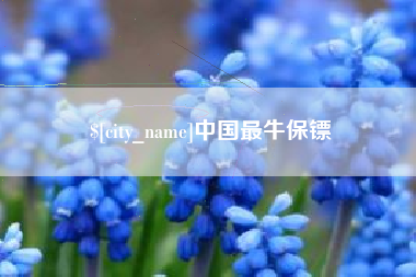 内江中国最牛保镖