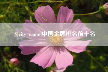 内江中国金牌排名前十名