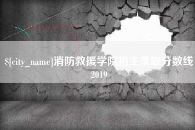 内江消防救援学院招生录取分数线2019