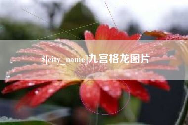 内江九宫格龙图片