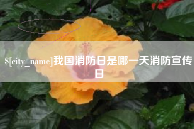 内江我国消防日是哪一天消防宣传日