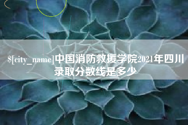 内江中国消防救援学院2021年四川录取分数线是多少
