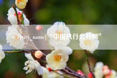 内江“中国执行公开网”