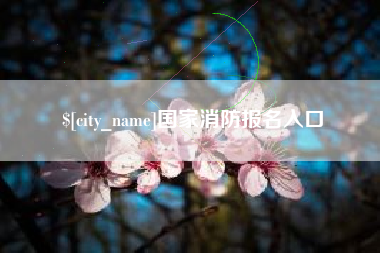 内江国家消防报名入口