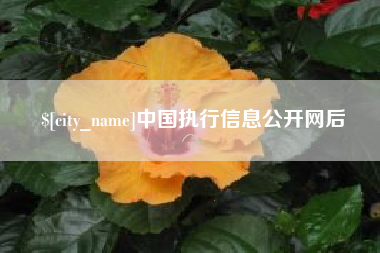 内江中国执行信息公开网后