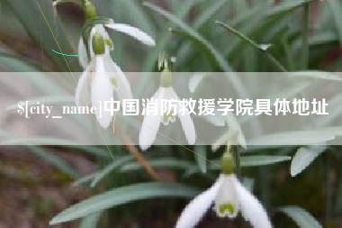 内江中国消防救援学院具体地址