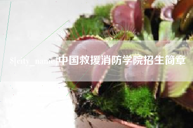 内江中国救援消防学院招生简章