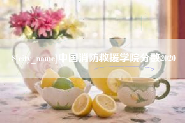 内江中国消防救援学院分数2020