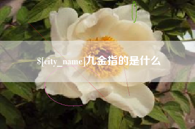 内江九金指的是什么