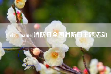 内江消防日全国消防日主题活动