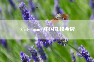 内江中国九枚金牌