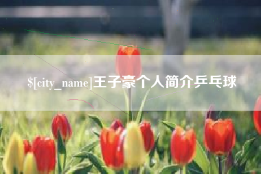 内江王子豪个人简介乒乓球