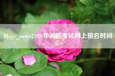 内江2020年消防考试网上报名时间