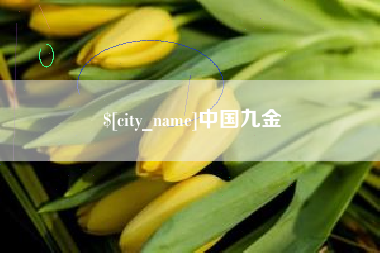 内江中国九金