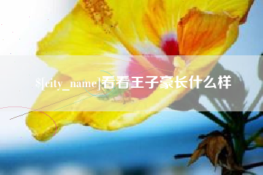 内江看看王子豪长什么样