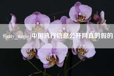 内江中国执行信息公开网真的假的