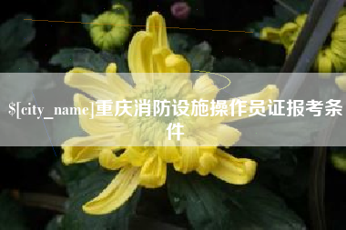 内江重庆消防设施操作员证报考条件