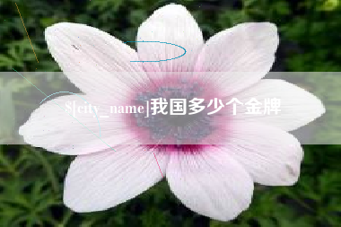 内江我国多少个金牌