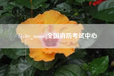 内江全国消防考试中心