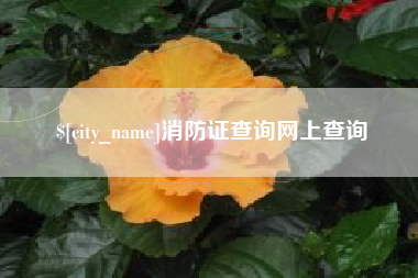 内江消防证查询网上查询