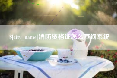 内江消防资格证怎么查询系统