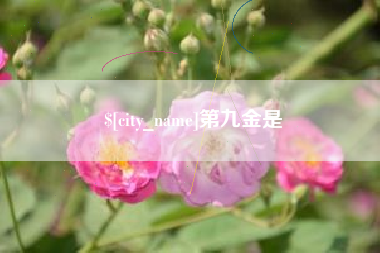 内江第九金是